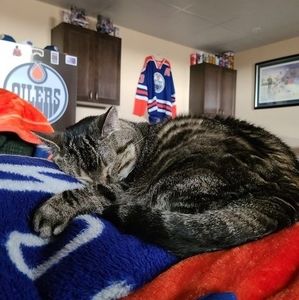 Meet your Posher, Jill